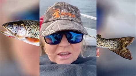 trout in vagina video|Australian Trout Lady Catherine Lee Faces Court Hearing Years。